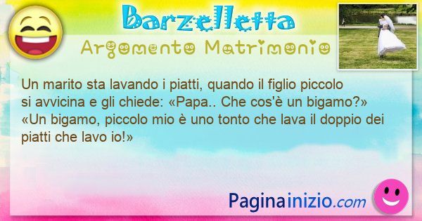 Barzelletta argomento Matrimonio: Un marito sta lavando i piatti, quando il figlio piccolo ... (id=3321)