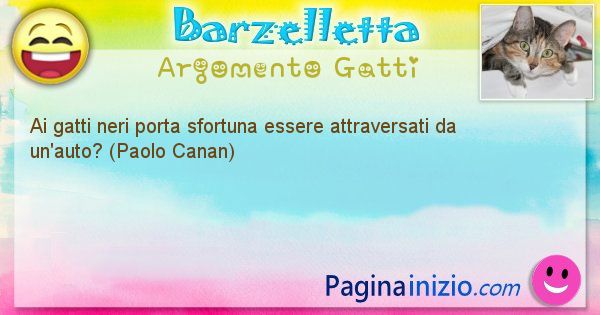 Barzelletta argomento Gatti: Ai gatti neri porta sfortuna essere attraversati da ... (id=1070)