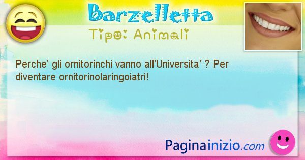 Animali: Perche' gli ornitorinchi vanno all'Universita' ? Per ... (id=2063)