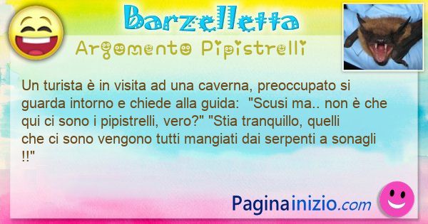 Barzelletta argomento Pipistrelli: Un turista  in visita ad una caverna, preoccupato si ... (id=3329)