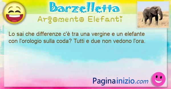 Differenza argomento Elefanti: Lo sai che differenze c' tra una vergine e un elefante ... (id=3375)