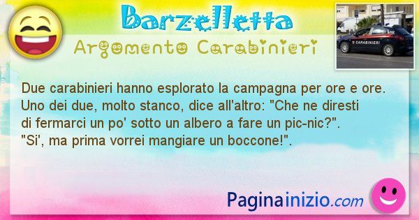 Barzelletta argomento Carabinieri: Due carabinieri hanno esplorato la campagna per ore e ... (id=1913)