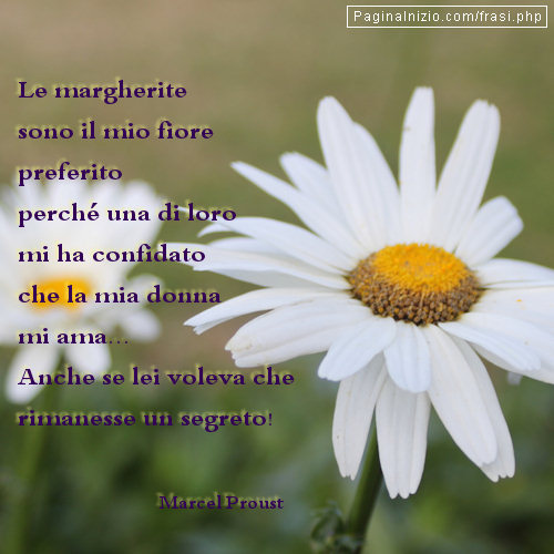 Immagine Le Margherite Marcel Proust