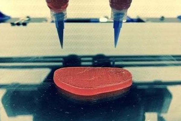 Le stampanti 3D possono essere utilizzate per applicazioni impensabili