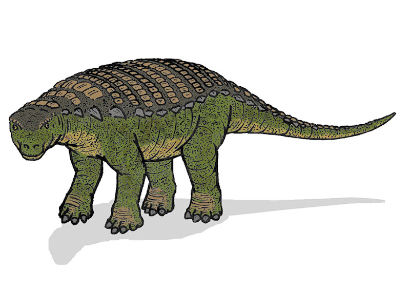 nodosaurus