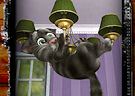 <b>Divertiti con Tom - Talking tom funny time