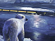 <b>Treno polar express - The polar express train adventure