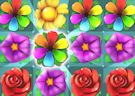 Gioco Flowers puzzle