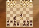 <b>Scacchi con livelli - Elite chess