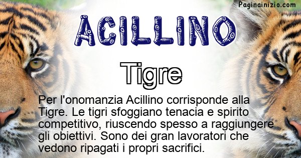 Acillino - Animale associato al nome Acillino