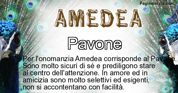 Amedea - Animale associato al nome Amedea