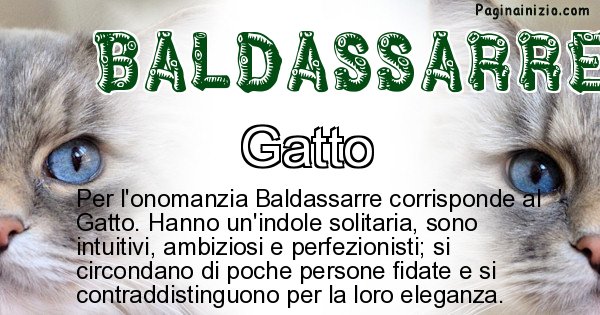 Baldassarre - Animale associato al nome Baldassarre