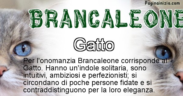 Brancaleone - Animale associato al nome Brancaleone