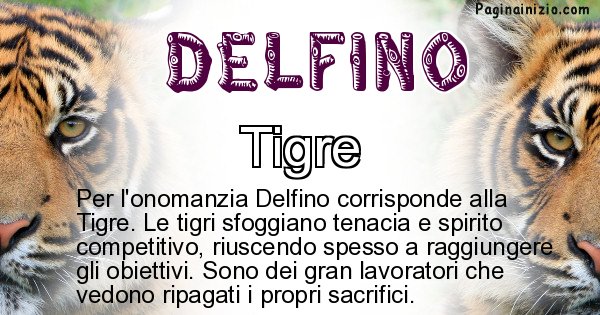 Delfino - Animale associato al nome Delfino