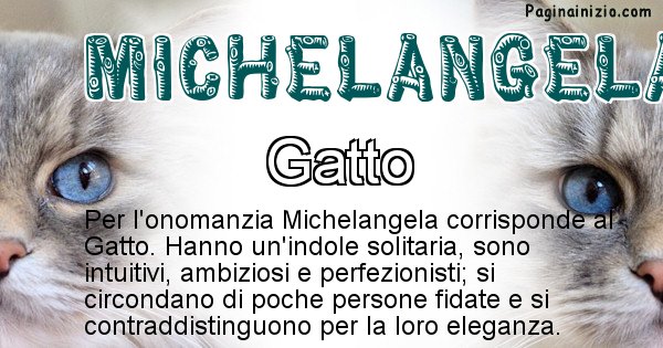 Michelangela - Animale associato al nome Michelangela