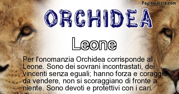 Orchidea - Animale associato al nome Orchidea