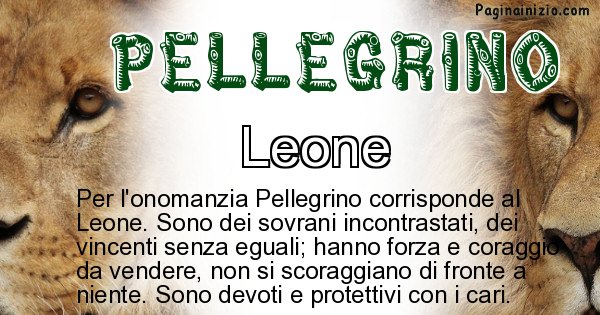 Pellegrino - Animale associato al nome Pellegrino