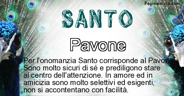 Santo - Animale associato al nome Santo