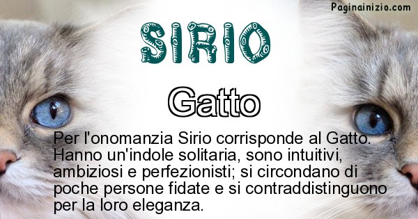 Sirio - Animale associato al nome Sirio