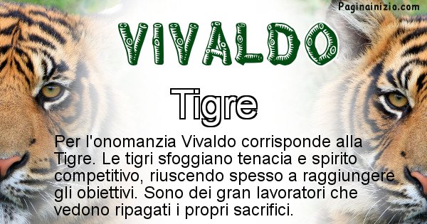 Vivaldo - Animale associato al nome Vivaldo